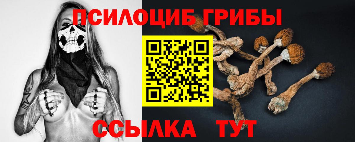 Галлюциногенные грибы Cubensis Комсомольск-на-Амуре